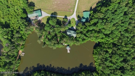 Luxury Estate on 98 Acres in Camden, AL - image 2