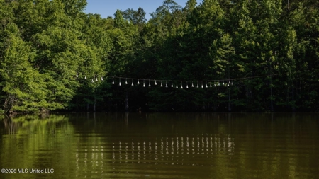 Luxury Estate on 98 Acres in Camden, AL - image 30