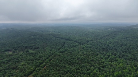 Hunting Land For Sale In North Central Arkansas - image 11