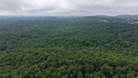 Hunting Land For Sale In North Central Arkansas - image 12