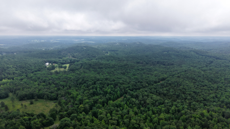 Hunting Land For Sale In North Central Arkansas - image 1