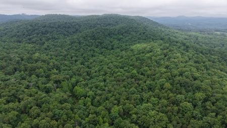Hunting Land For Sale In North Central Arkansas - image 16
