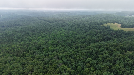 Hunting Land For Sale In North Central Arkansas - image 2