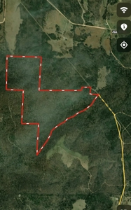 Hunting Land For Sale In North Central Arkansas - image 17