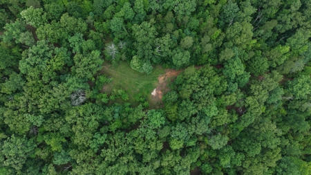 Hunting Land For Sale In North Central Arkansas - image 4