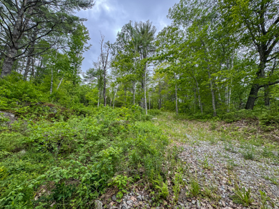 Coastal Area Land Lot with Water Views of South Pond - image 5