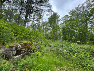 Coastal Area Land Lot with Water Views of South Pond - image 6