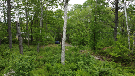 Coastal Area Land Lot with Water Views of South Pond - image 3