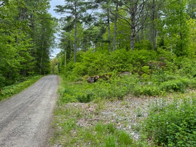 Coastal Area Land Lot with Water Views of South Pond - image 8