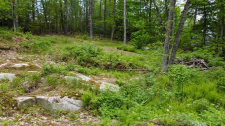 Coastal Area Land Lot with Water Views of South Pond - image 4
