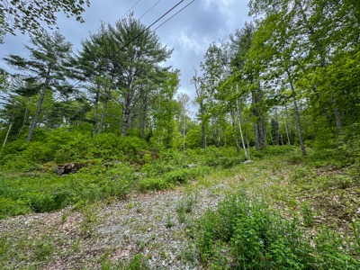 Coastal Area Land Lot with Water Views of South Pond - image 7