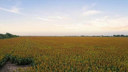 127.6 Acres of Farm & Future Development Land in Portland, TX - image 5