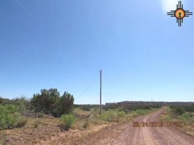 140 Acre Ranch Land with Red Rock Views in Newkirk NM - image 4