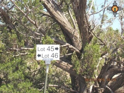 140 Acre Ranch Land with Red Rock Views in Newkirk NM - image 2
