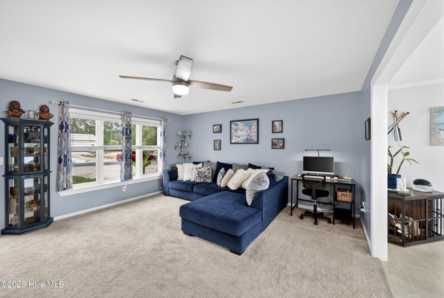No Caption