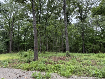 Pristine Unrestricted Acreage in Baxter County - image 3