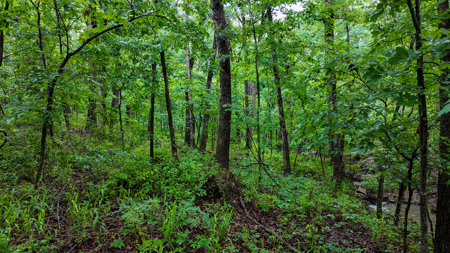 Land for sale St. Clair Missouri - image 7