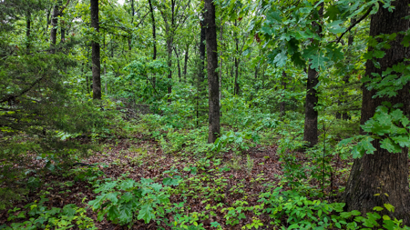 Land for sale St. Clair Missouri - image 21