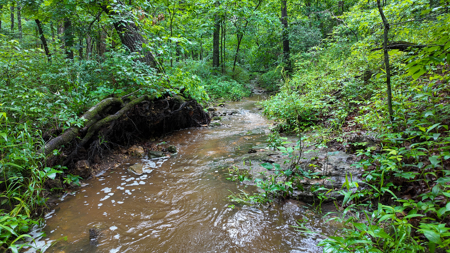 Land for sale St. Clair Missouri - image 15