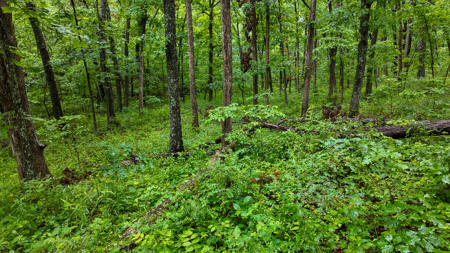 Land for sale St. Clair Missouri - image 14