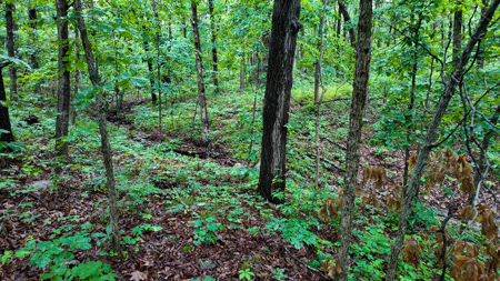 Land for sale St. Clair Missouri - image 17