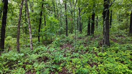 Land for sale St. Clair Missouri - image 19