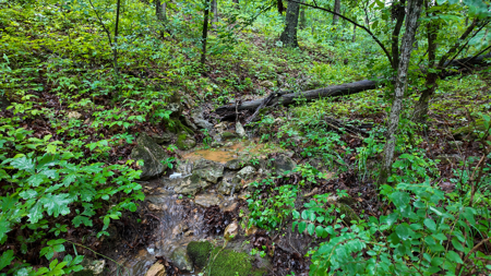 Land for sale St. Clair Missouri - image 1