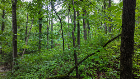 Land for sale St. Clair Missouri - image 8