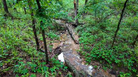 Land for sale St. Clair Missouri - image 6