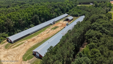 State Line MS 6 House Poultry Farm on 53 Acres - image 6