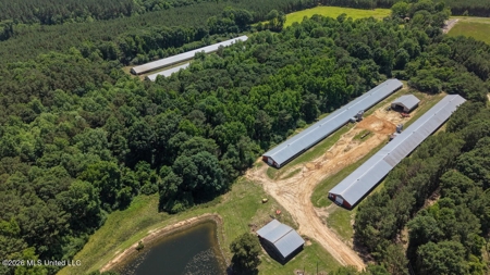 State Line MS 6 House Poultry Farm on 53 Acres - image 7