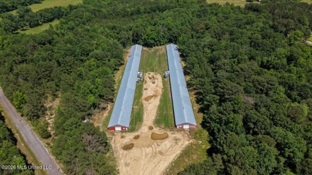 State Line MS 6 House Poultry Farm on 53 Acres - image 4