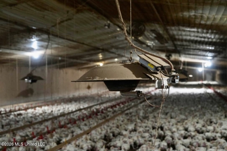 State Line MS 6 House Poultry Farm on 53 Acres - image 34