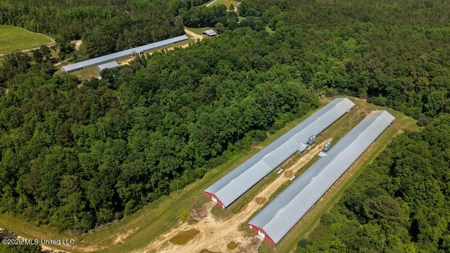 State Line MS 6 House Poultry Farm on 53 Acres - image 2