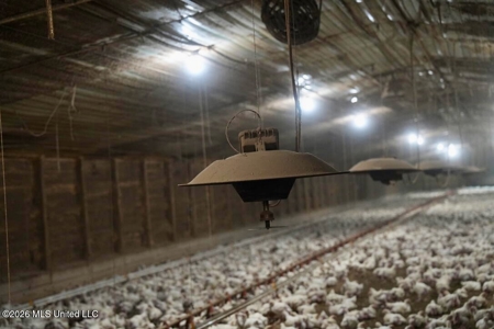 State Line MS 6 House Poultry Farm on 53 Acres - image 30
