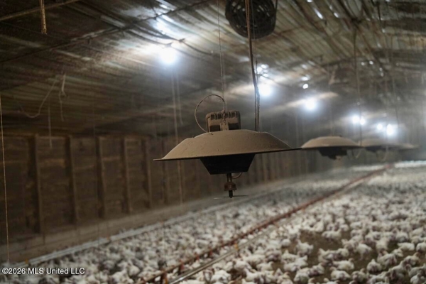 State Line MS 6 House Poultry Farm on 53 Acres