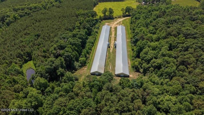 State Line MS 6 House Poultry Farm on 53 Acres
