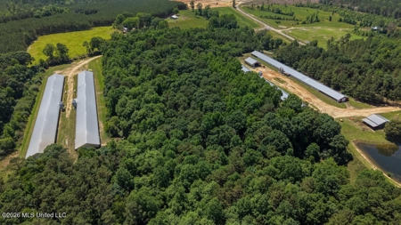 State Line MS 6 House Poultry Farm on 53 Acres - image 3