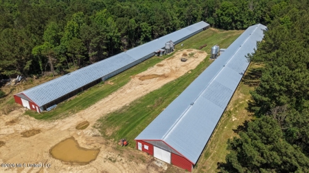 State Line MS 6 House Poultry Farm on 53 Acres - image 5