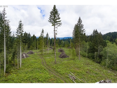 58 Acres With Development Potential - image 1