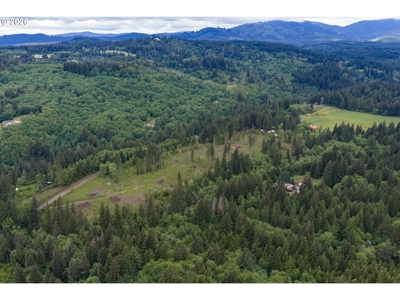 58 Acres With Development Potential - image 7