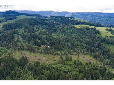 58 Acres With Development Potential - image 13