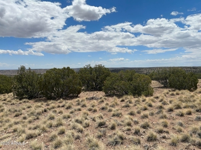 1+ Acre Arizona Homesite with Panoramic Views in Concho - image 9