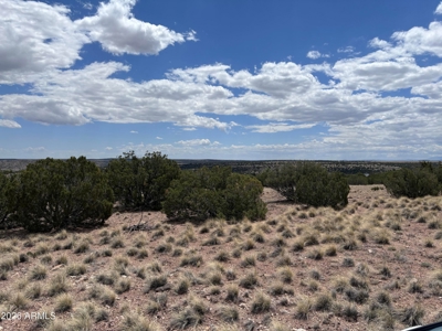 1+ Acre Arizona Homesite with Panoramic Views in Concho - image 1