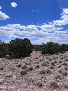 1+ Acre Arizona Homesite with Panoramic Views in Concho - image 4