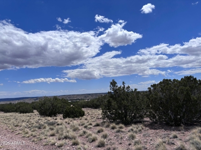 1+ Acre Arizona Homesite with Panoramic Views in Concho - image 6