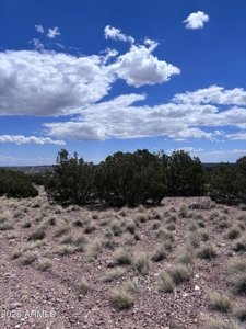 1+ Acre Arizona Homesite with Panoramic Views in Concho - image 2