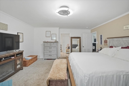Peaceful 10-Acre Property with Updated Home & Pool - image 23