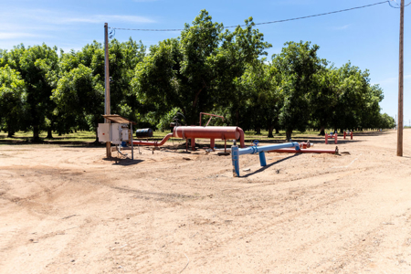 Pecan Orchard For Sale in Arizona - image 40