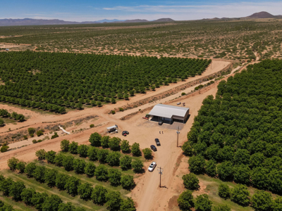 Pecan Orchard For Sale in Arizona - image 6